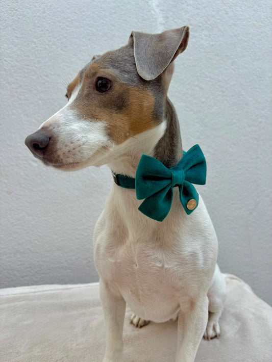 Hundeschleife Emerald Blue – Der letzte Schliff für jedes Outfit
