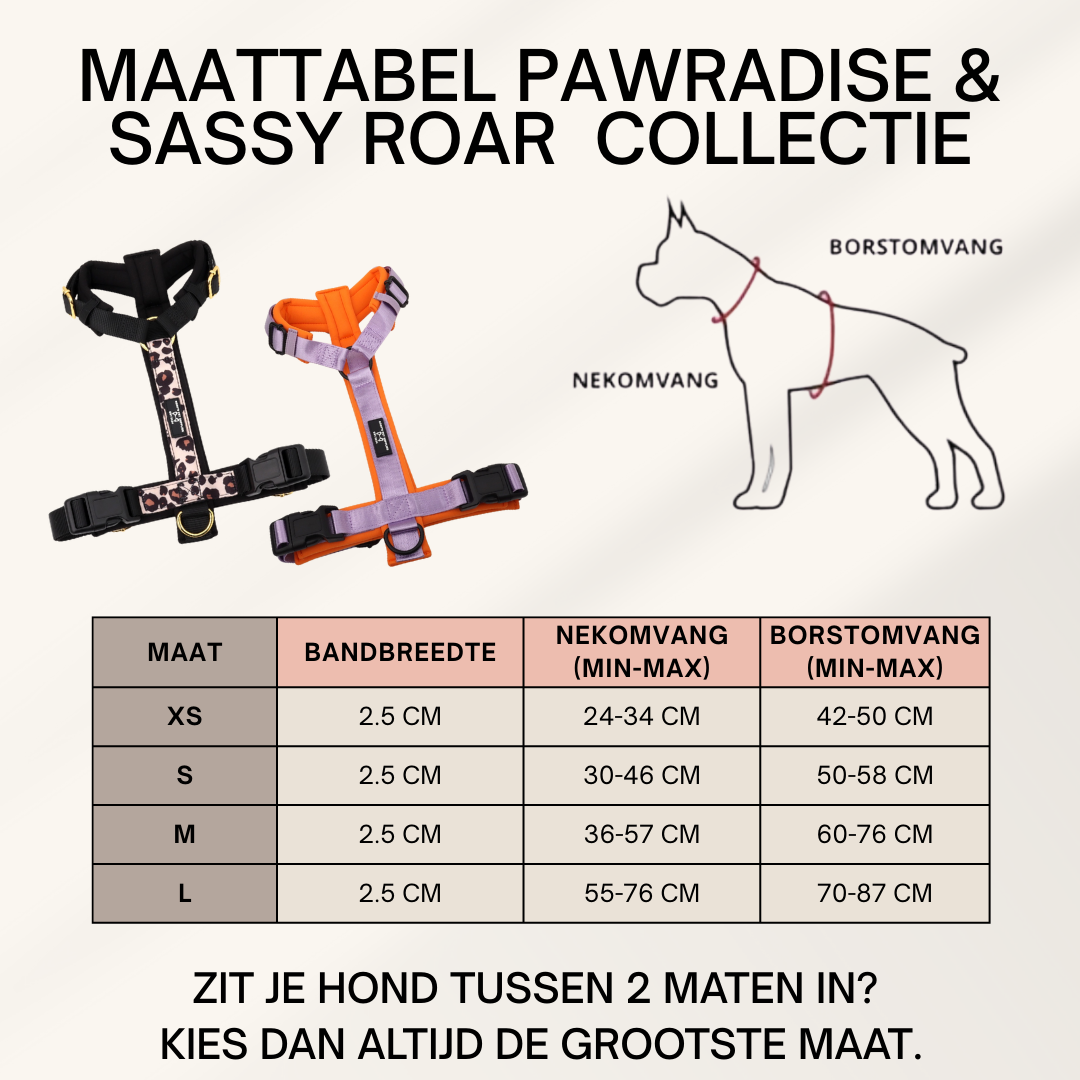 Hundegeschirr Pawradise Roar