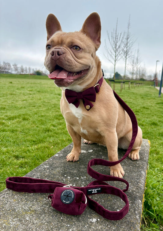 Velvet Set - Merlot met Halsband, Riem & Poepzakhouder