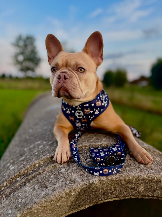 Frenchie by Soof hondenriem – blauwe hondenriem van 157 cm met gevoerde handgreep, ideaal voor Franse Bulldog