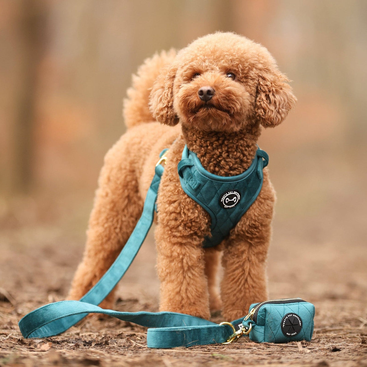 Hondentuig in velvet Emerald Blue – verstelbaar, zacht en stijlvol tuigje voor je hond