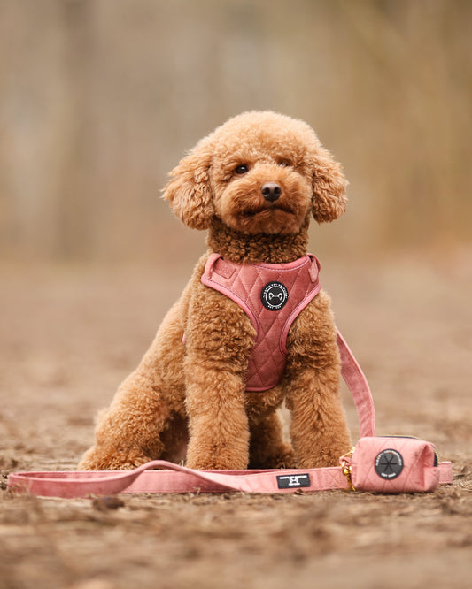 Velvet Set - Roze Met Tuig, Riem & Poepzakhouder