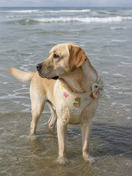 Hondentuig Summer Stories By Jaap & Soof's Woofwear