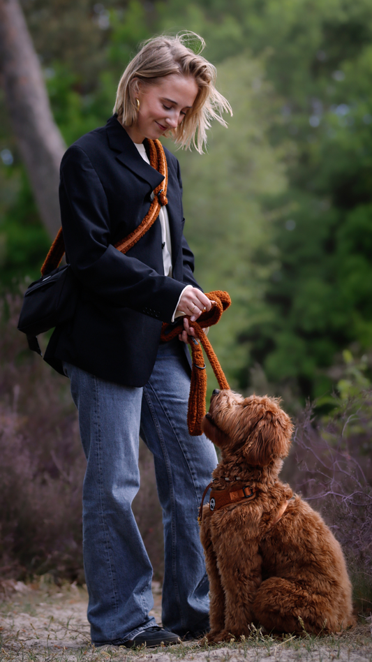 Hondenriem TeddyWalks Cognac