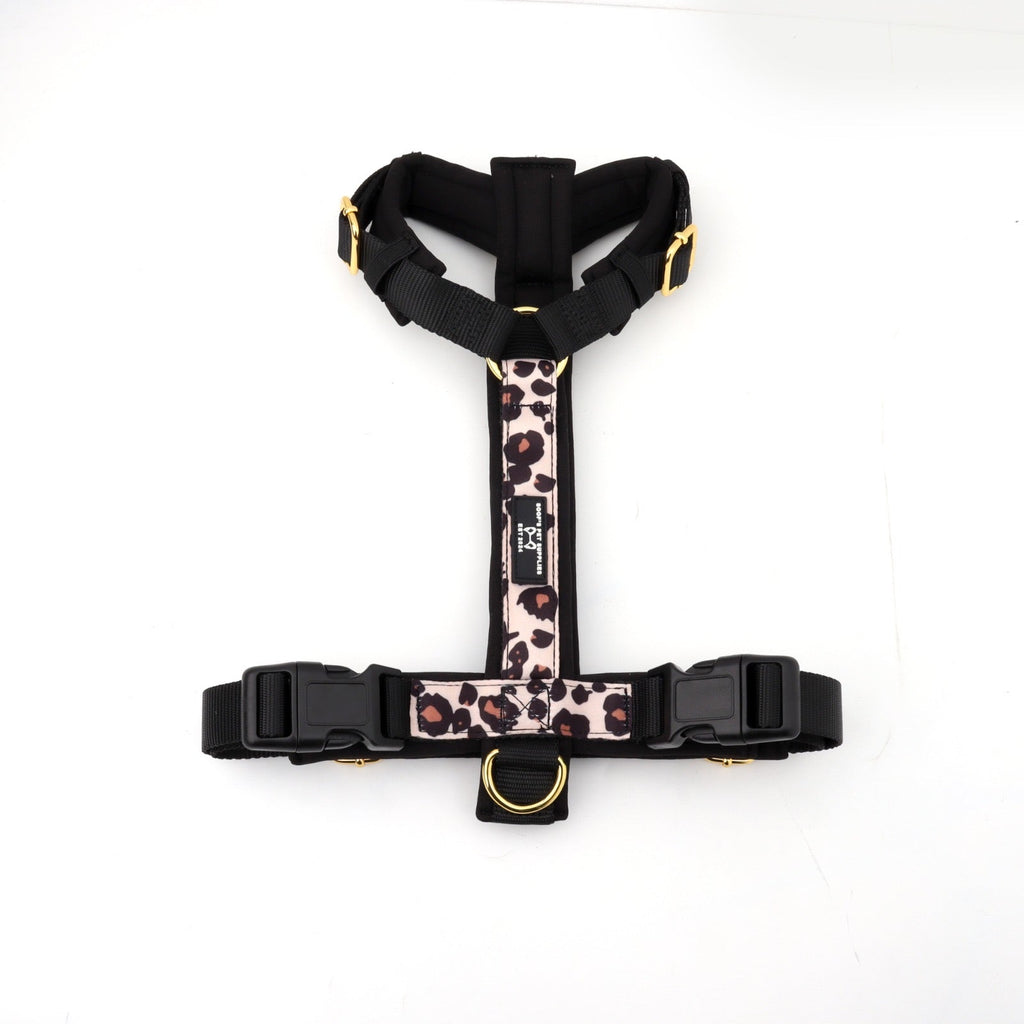 Waarom het Y-hondentuig zo populair is.