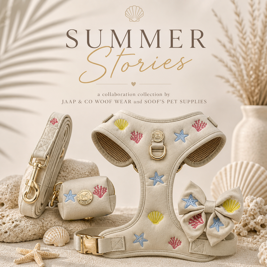Summer Stories: hét zomerse hondentuigje voor stijlvolle avonture