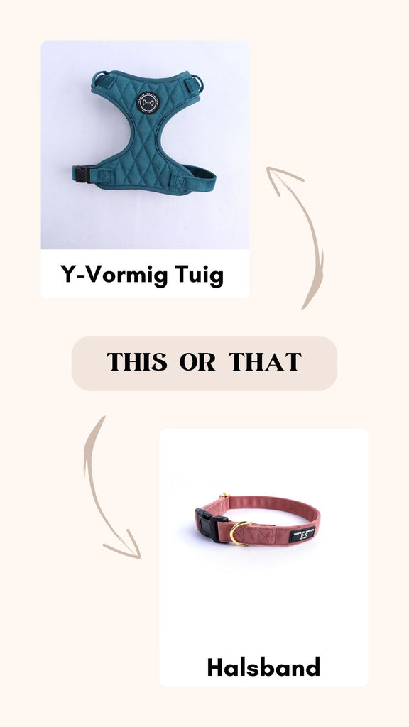 De Voordelen van een Y-Vormig Tuigje en een Halsband: Wat Past het Beste bij jouw Hond?