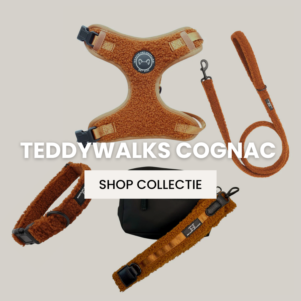 TeddyWalks Collectie Cognac