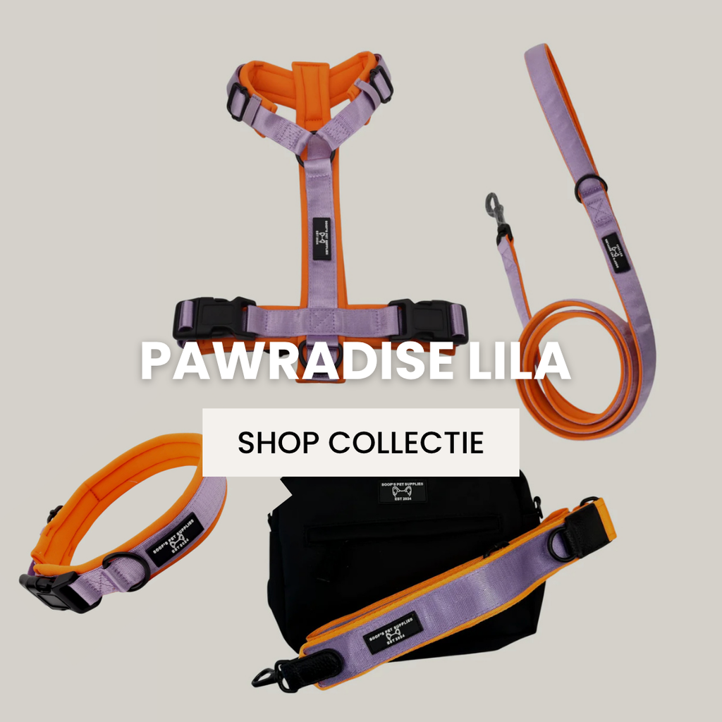Pawradise Collectie Lila
