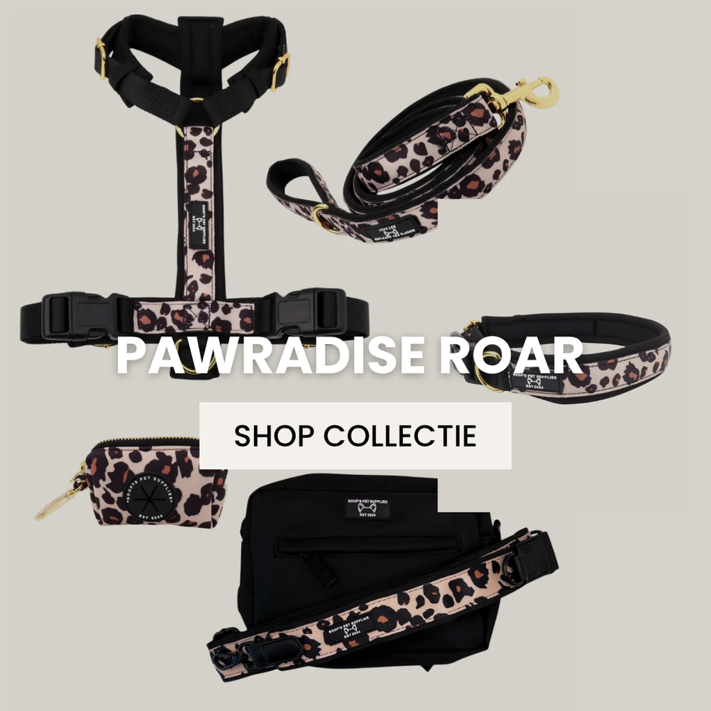 Pawradise Collectie Roar