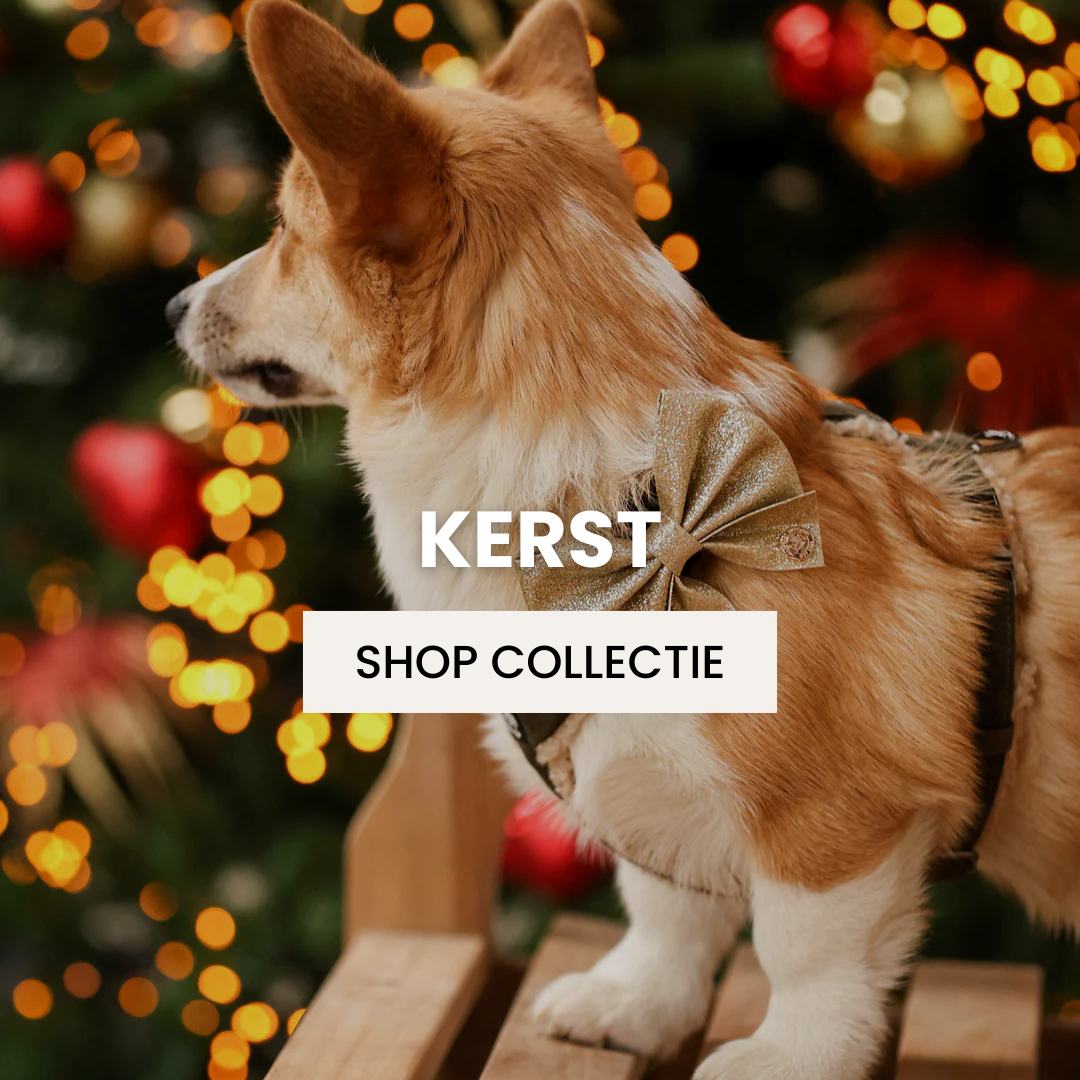 Kerst 2025