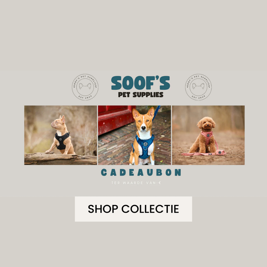 Verras een hondenliefhebber met een cadeaubon van Soof's Pet Supplies!