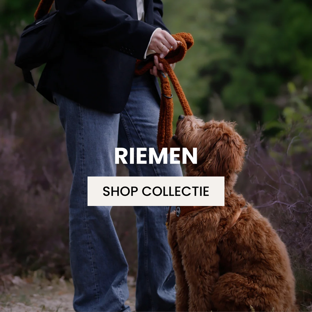 Riemen