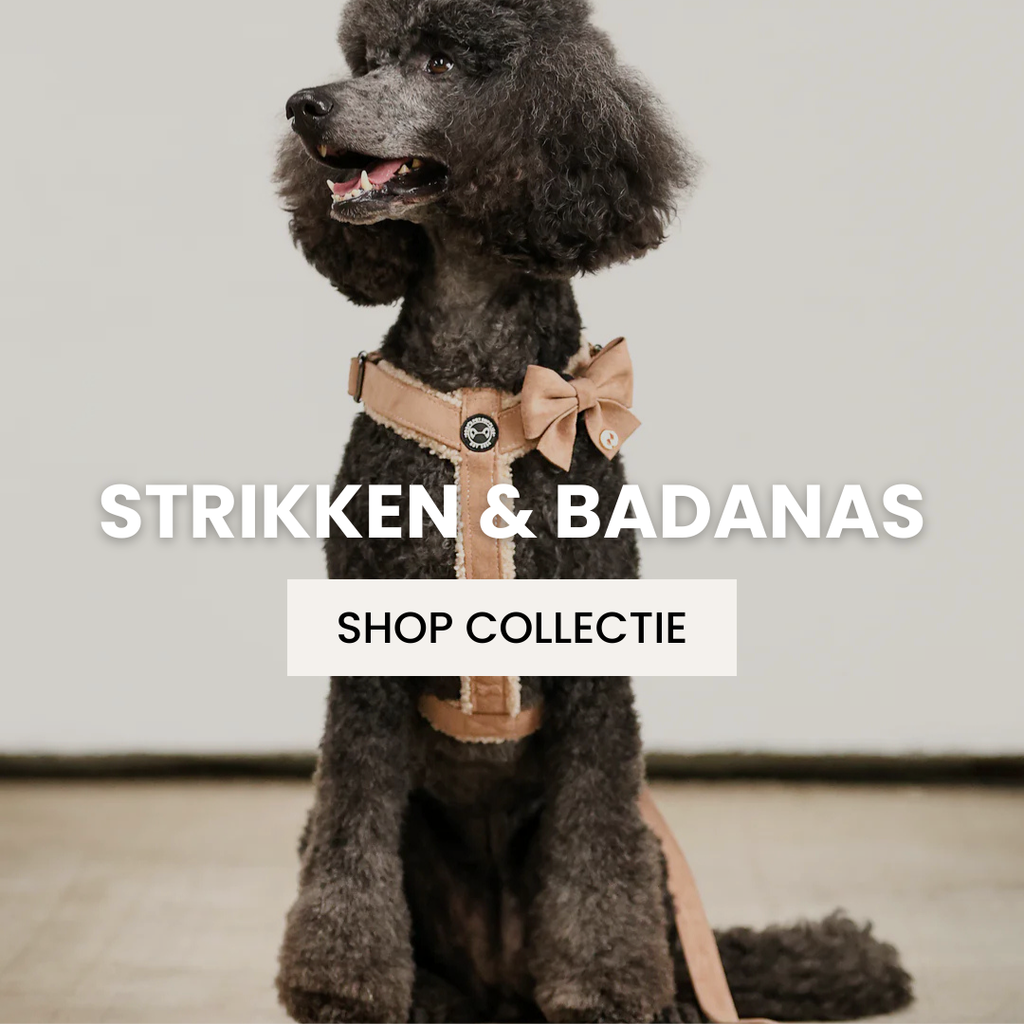 Strikken & Bandana's