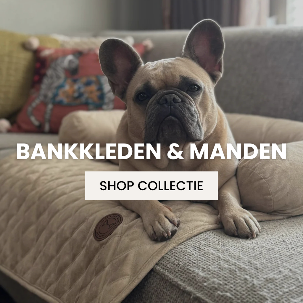 Bankkleed & Manden