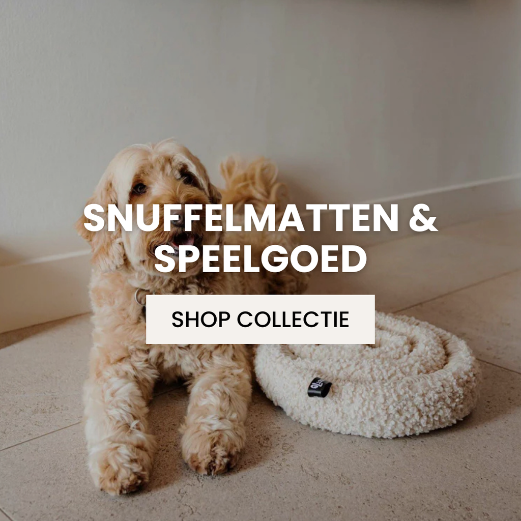 Ontdek onze snuffelmatten en speelgoed
