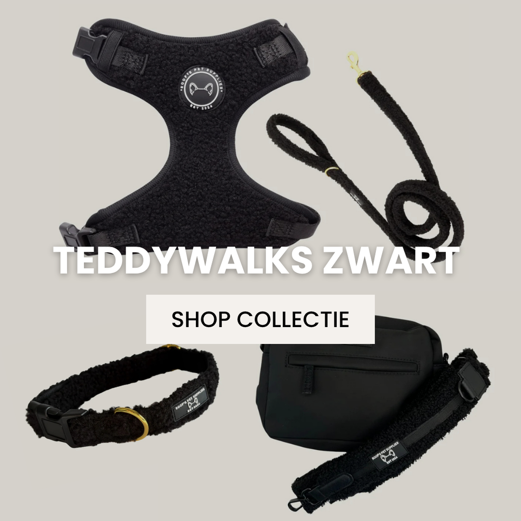 Teddy Walks Collectie Zwart