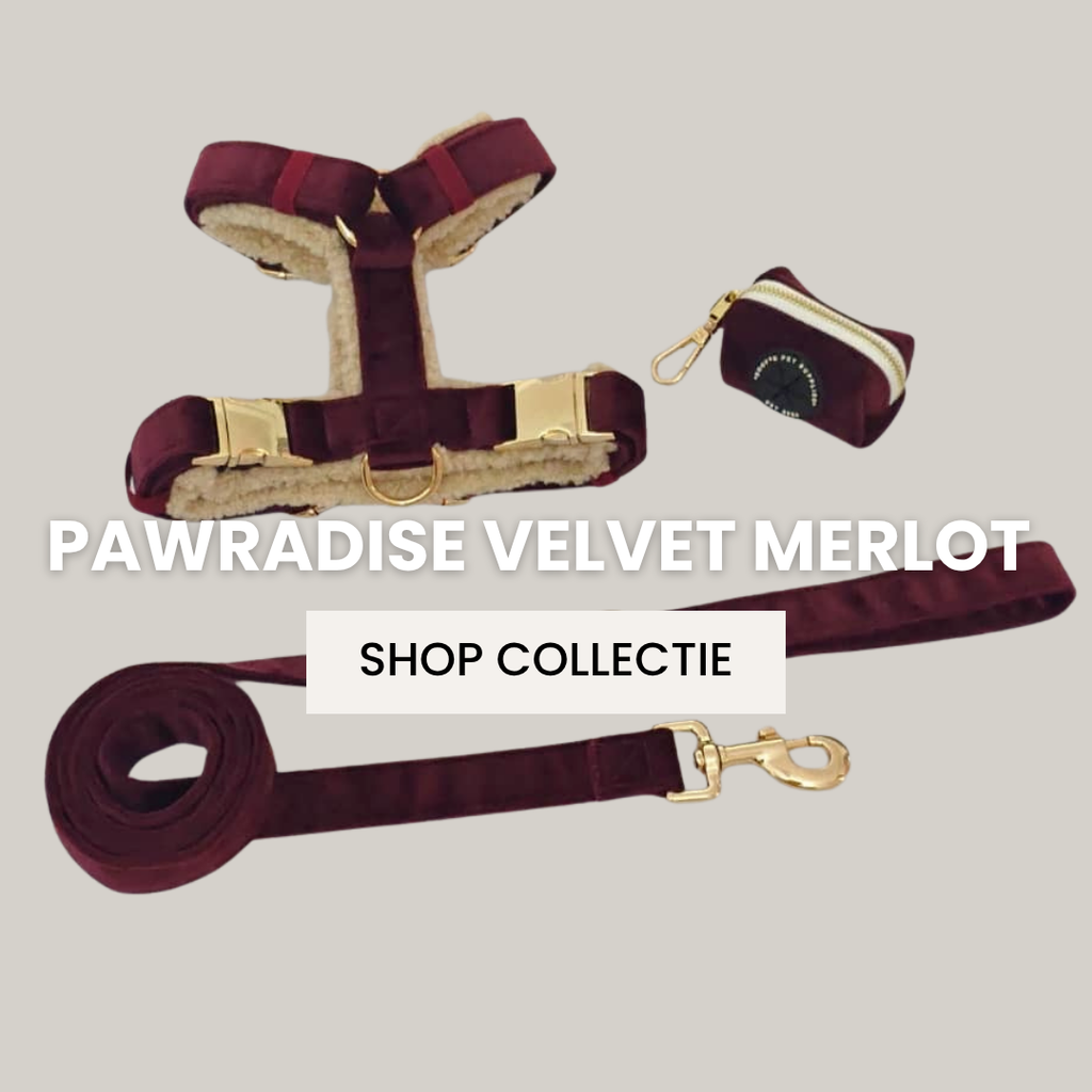 Pawradise Velvet Collectie Merlot