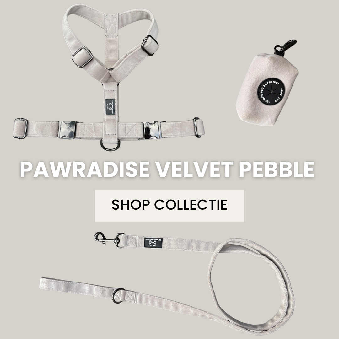 Pawradise Velvet Pebble