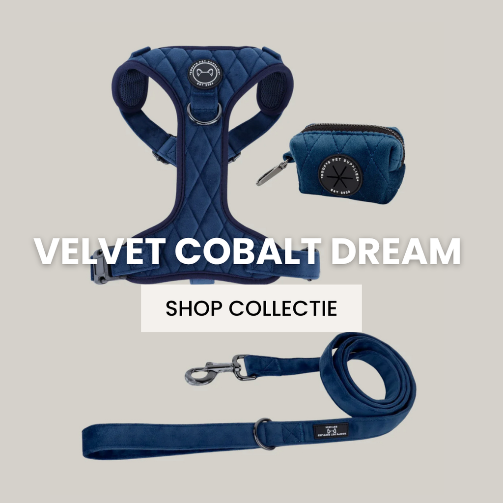 Cobalt Dream Collectie.
