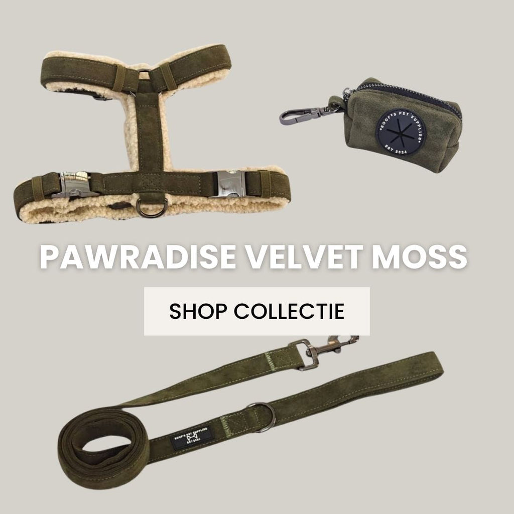 Pawradise Velvet Collectie Moss