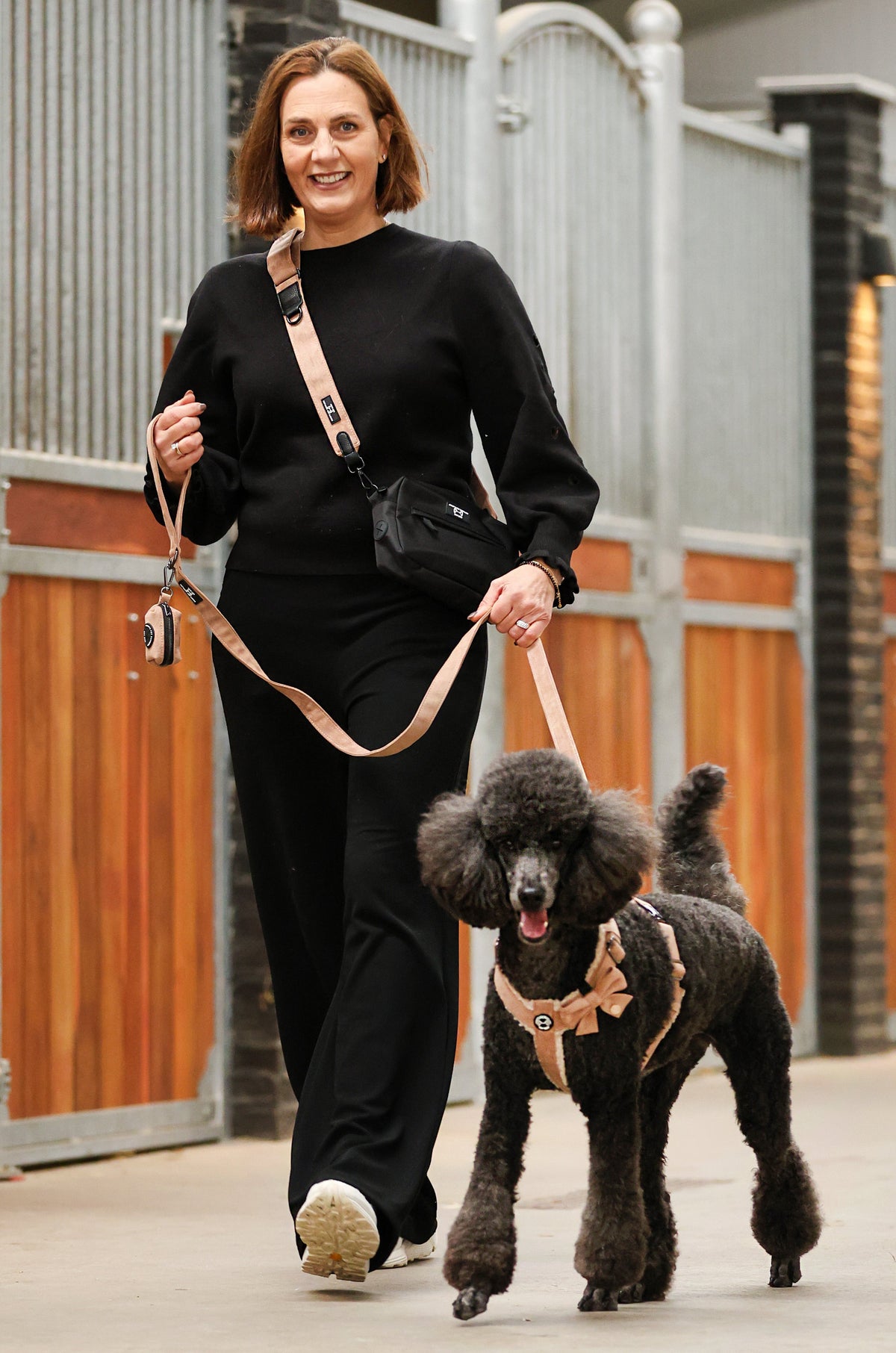 Dogmom Bag – Velvet Sand