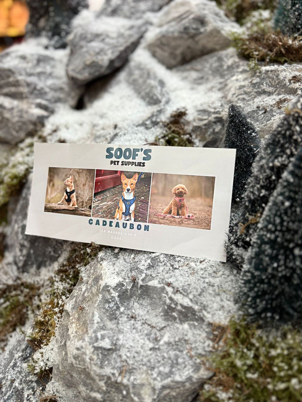 Paper Gift Card by Mail – Soof's Pet Supplies