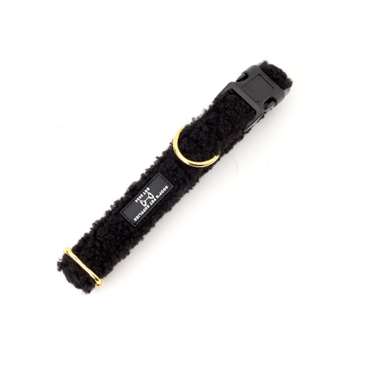 Teddy Walks set - Zwart Met Halsband &Riem