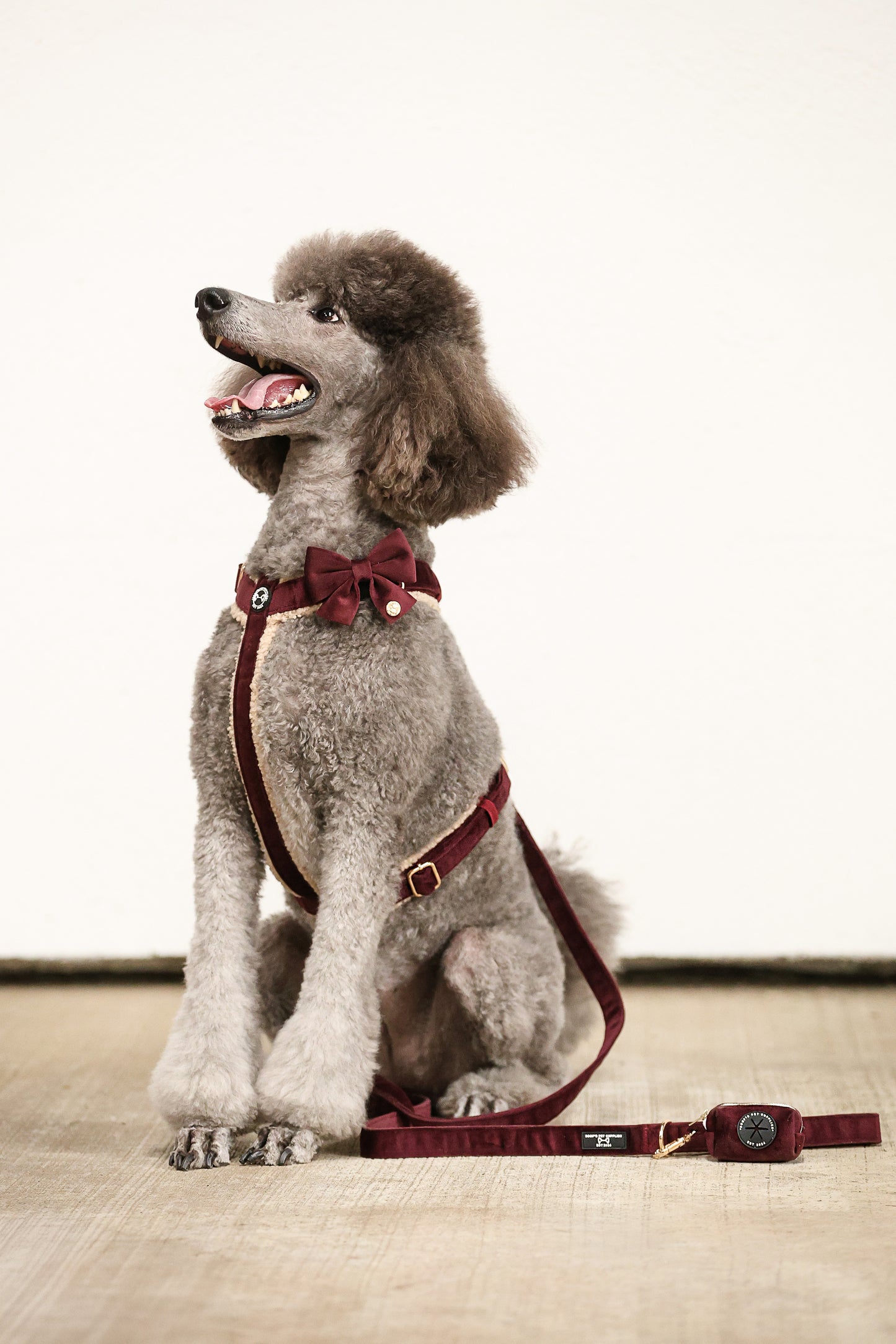 Pawradise Samt Hundegeschirr – Merlot