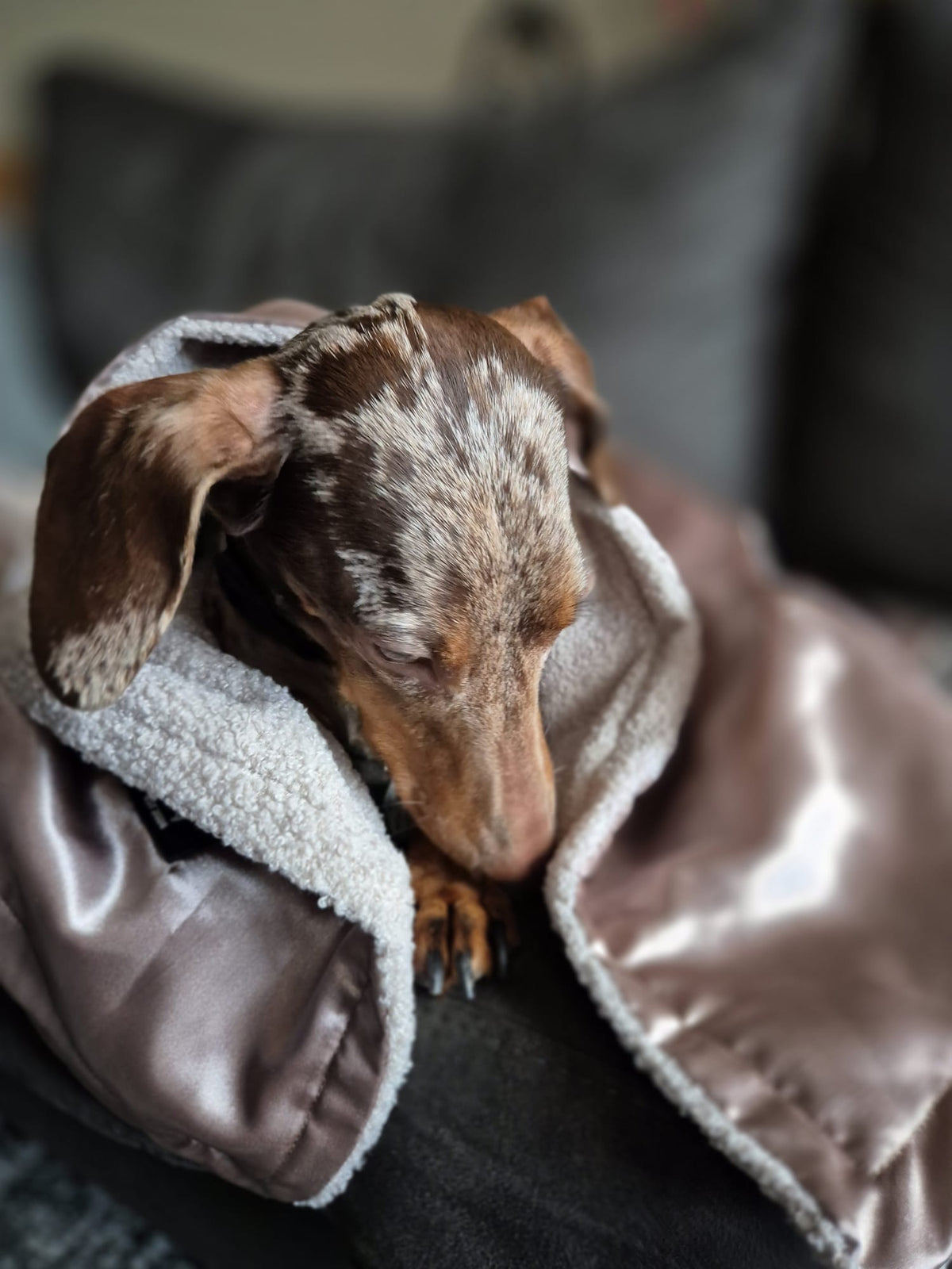 Luxe Honden kleed Creme – Velours & Fleece – 78 x 100 cm
