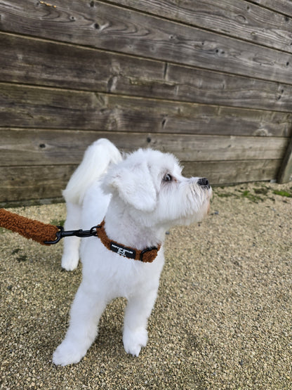 Hondenhalsband TeddyWalks Cognac