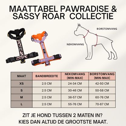 Hundegeschirr Pawradise Roar