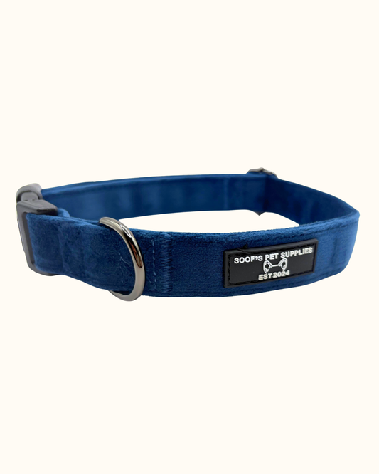 Hondenhalsband in Cobalt kleur 