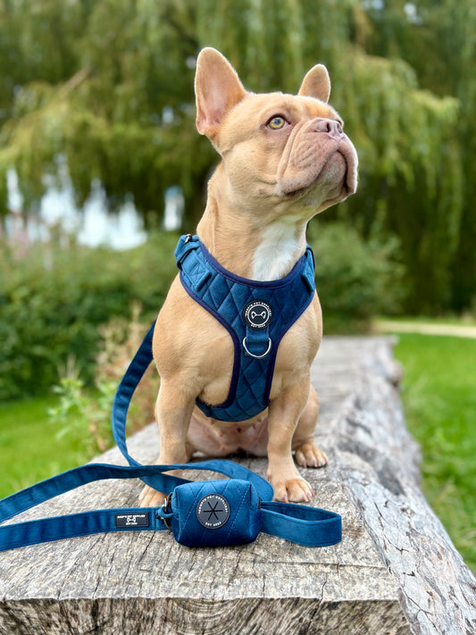 Complete Velvet Cobalt Dream honden set met tuigje, riem en poepzakhouder