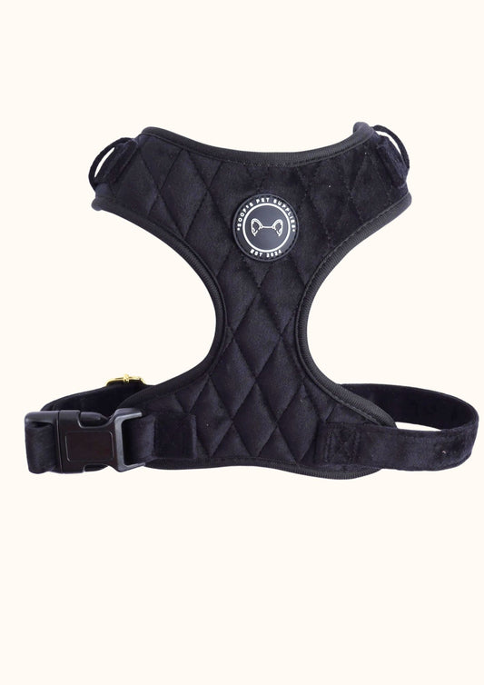 hondentuig velvet zwart