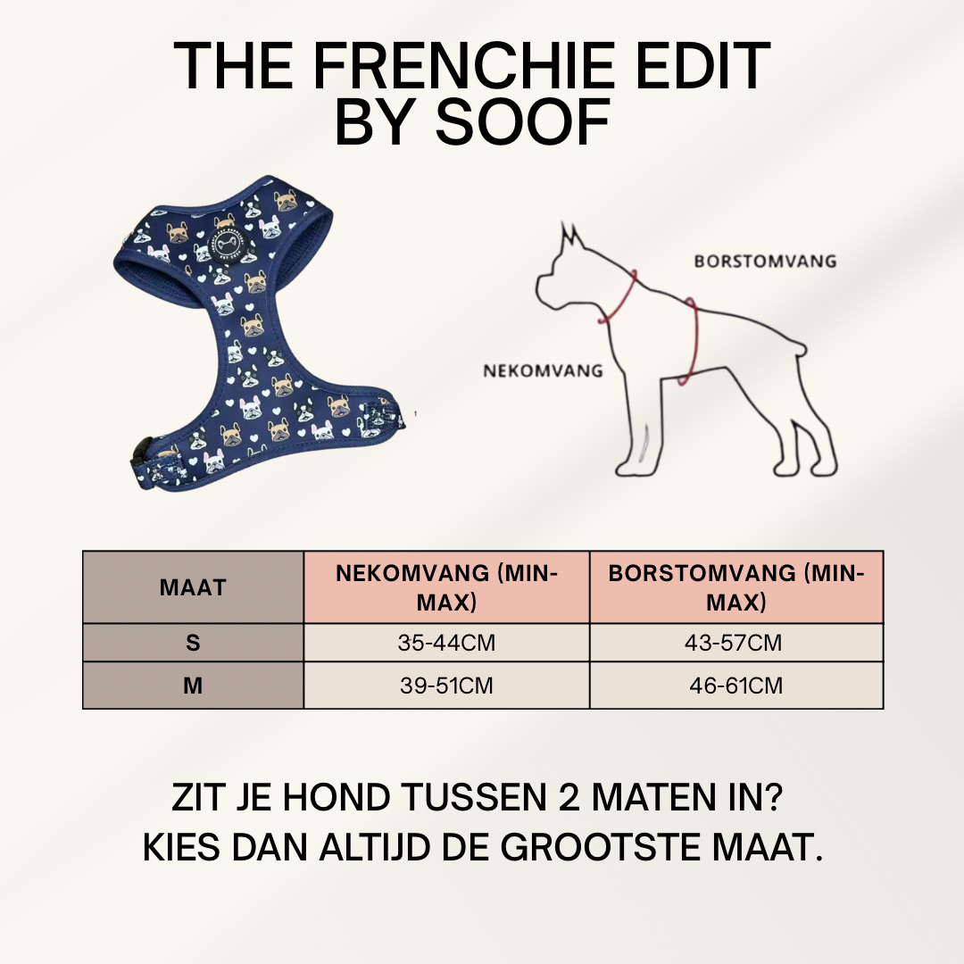 Specially for Frenchies – Matching Set with Print