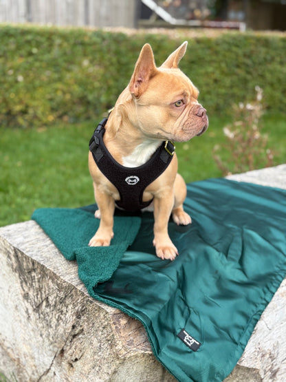 Luxury Dog Blanket Emerald Green – Velours &amp; Fleece – 78 x 100 cm