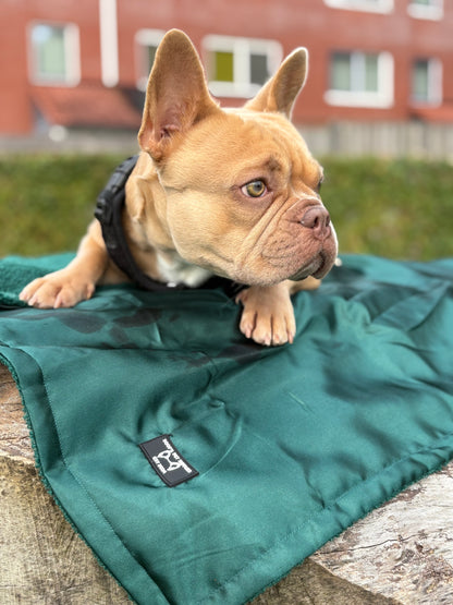 Luxury Dog Blanket Emerald Green – Velours &amp; Fleece – 78 x 100 cm