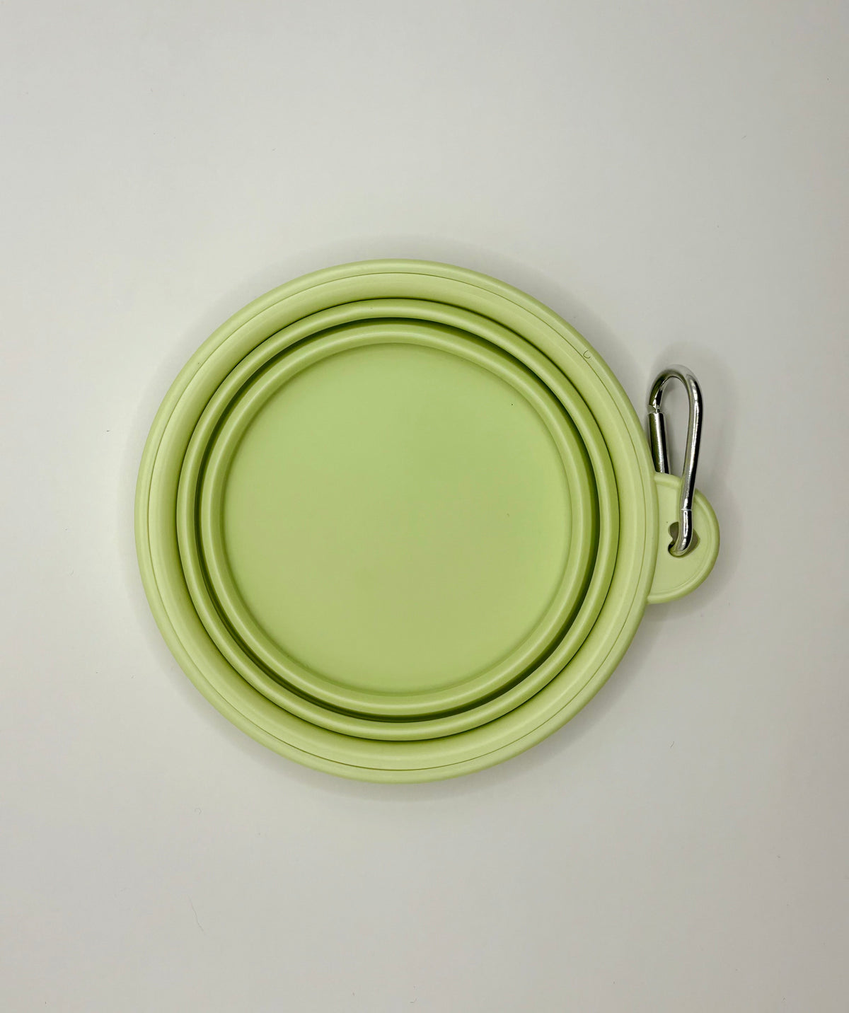 Collapsible Silicone Dog Bowl Mint Green 350 ml