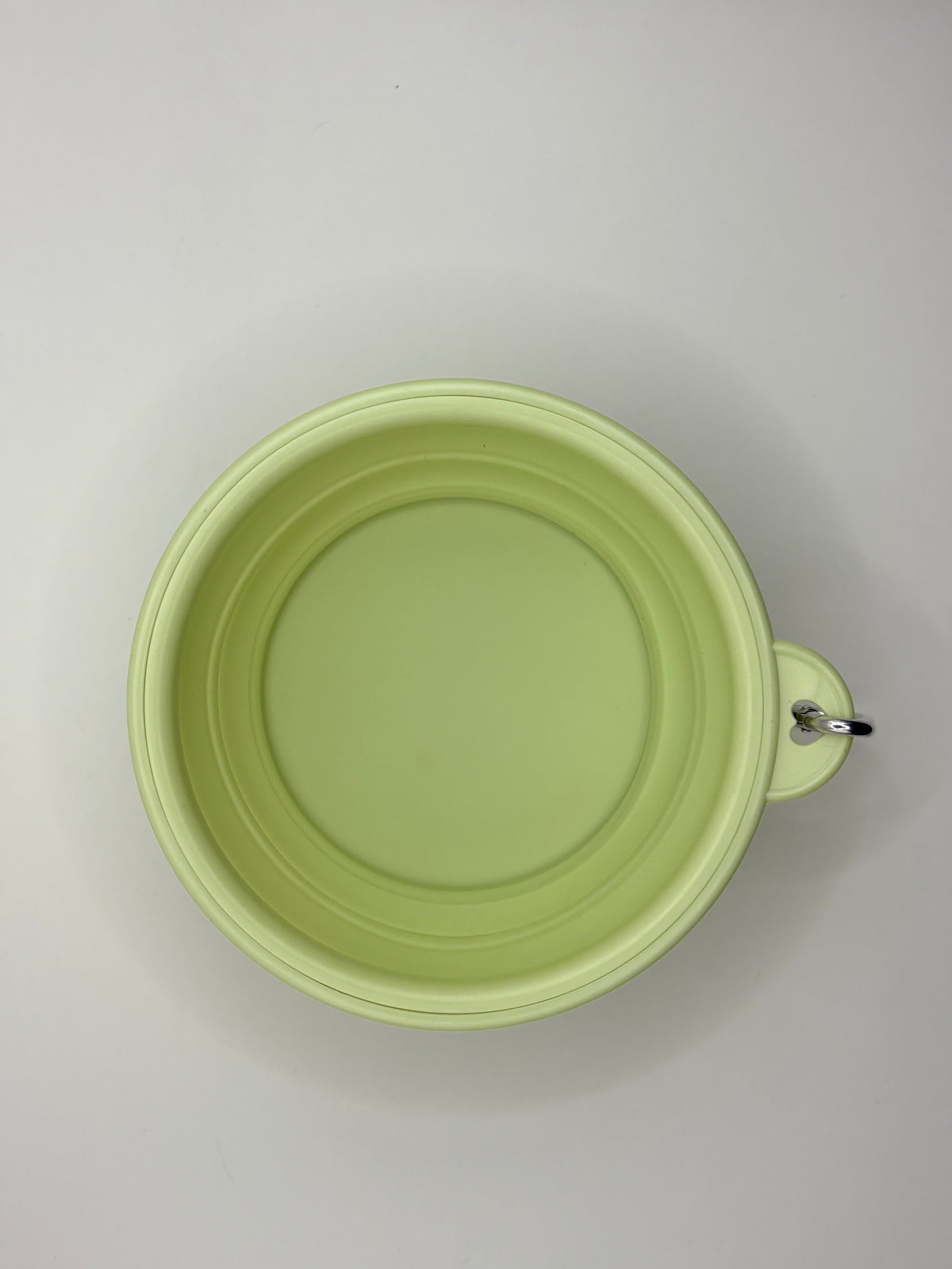 Collapsible Silicone Dog Bowl Mint Green 350 ml