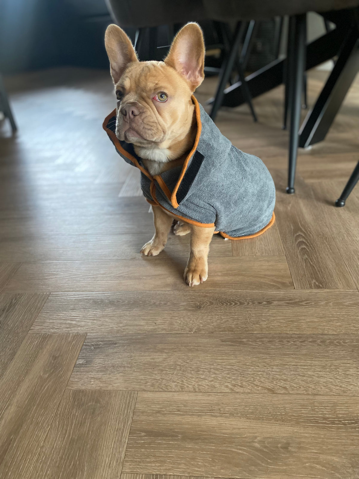 Hundebademantel - Grau