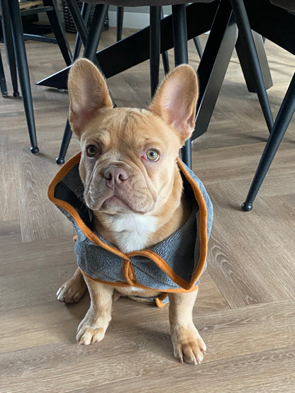 Hundebademantel - Grau