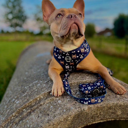 Specially for Frenchies – Matching Set with Print
