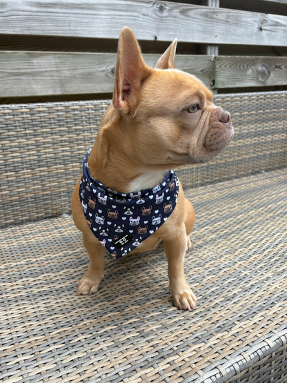 Cooling Bandana Frenchie by Soof