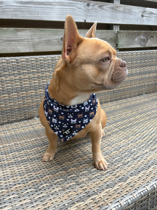 Cooling Bandana Frenchie by Soof