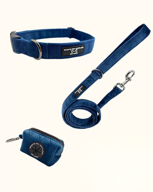 Velvet set - Cobalt Dream Met Halsband, riem & poepzakhouder