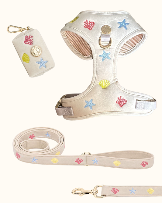 Velvet set -  Summer Stories By Jaap & Soof's Woofwear