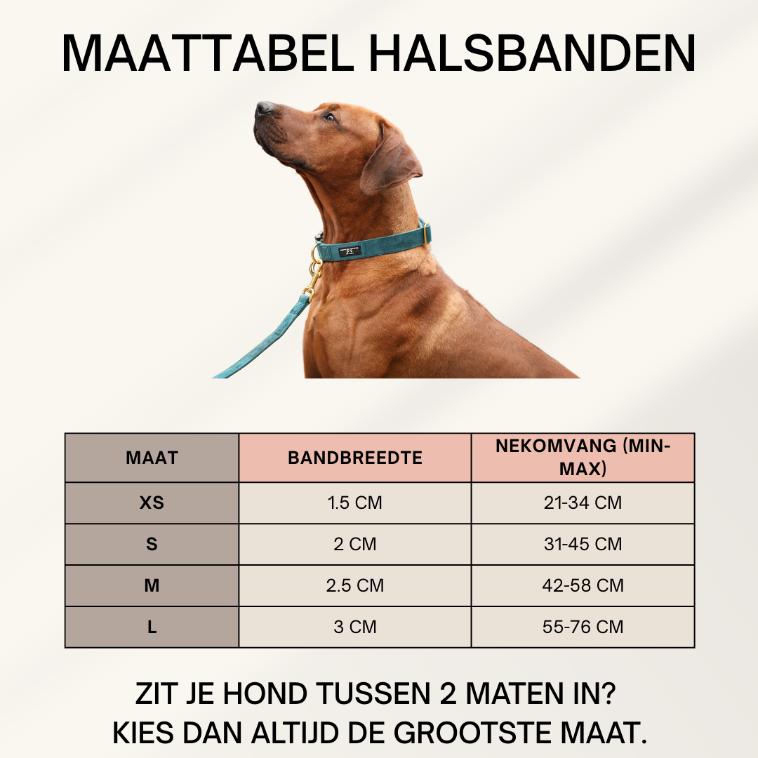Velvet Set - Zwart met Halsband, Riem & Poepzakhouder