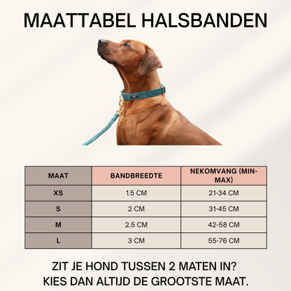 Velvet Set - Zwart met Halsband, Riem & Poepzakhouder