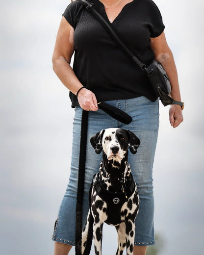 TeddyWalks set - Black with harness and dogmom bag